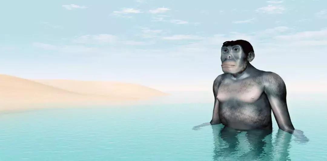 从猿进化到人的原因,从猿进化成人类的原因是什么