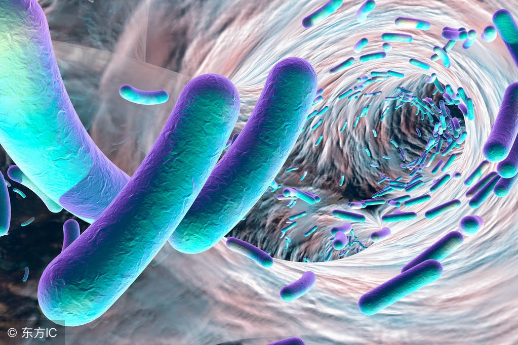 女阴假性湿疣怎么治,女性假性湿疣由什么引起的