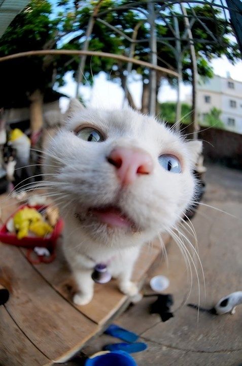 中国元素文字中国风壁纸,中国风壁纸高清无水印无文字