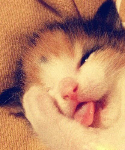 中国元素文字中国风壁纸,中国风壁纸高清无水印无文字