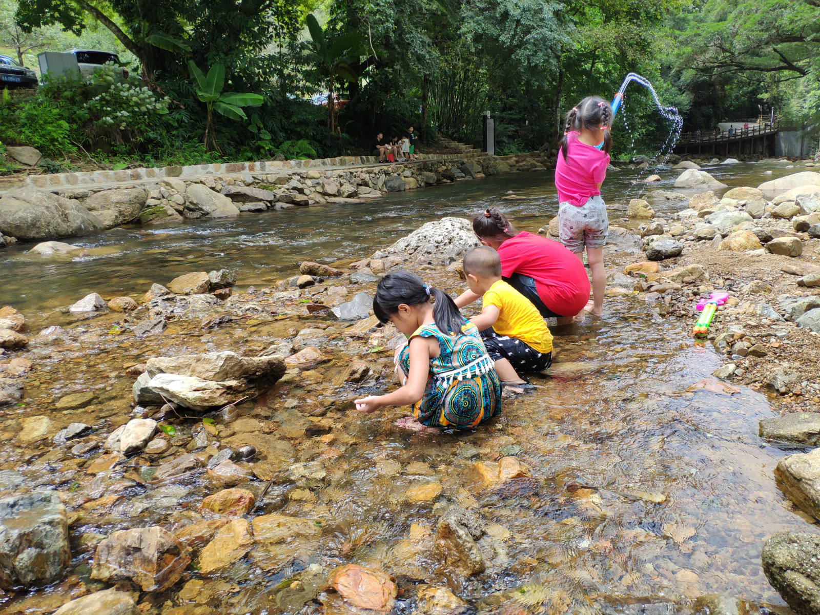 百万葵园85元门票包含什么,广州百万葵园免费门票