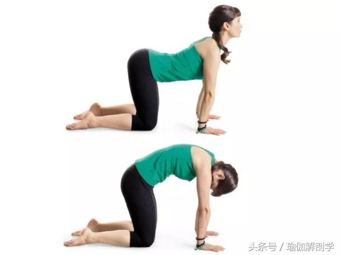 冬季手脚冰凉改善血液循环瑜伽,手脚发凉适合做哪些瑜伽