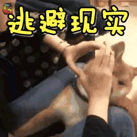 湘西100个美丽乡村,2018湘西美丽乡村名单