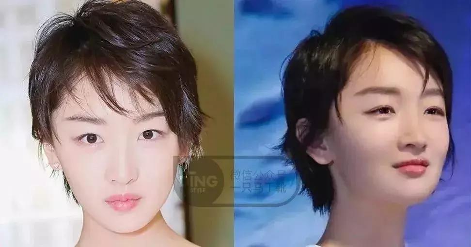 明星踩雷区完整版,明星节目踩雷