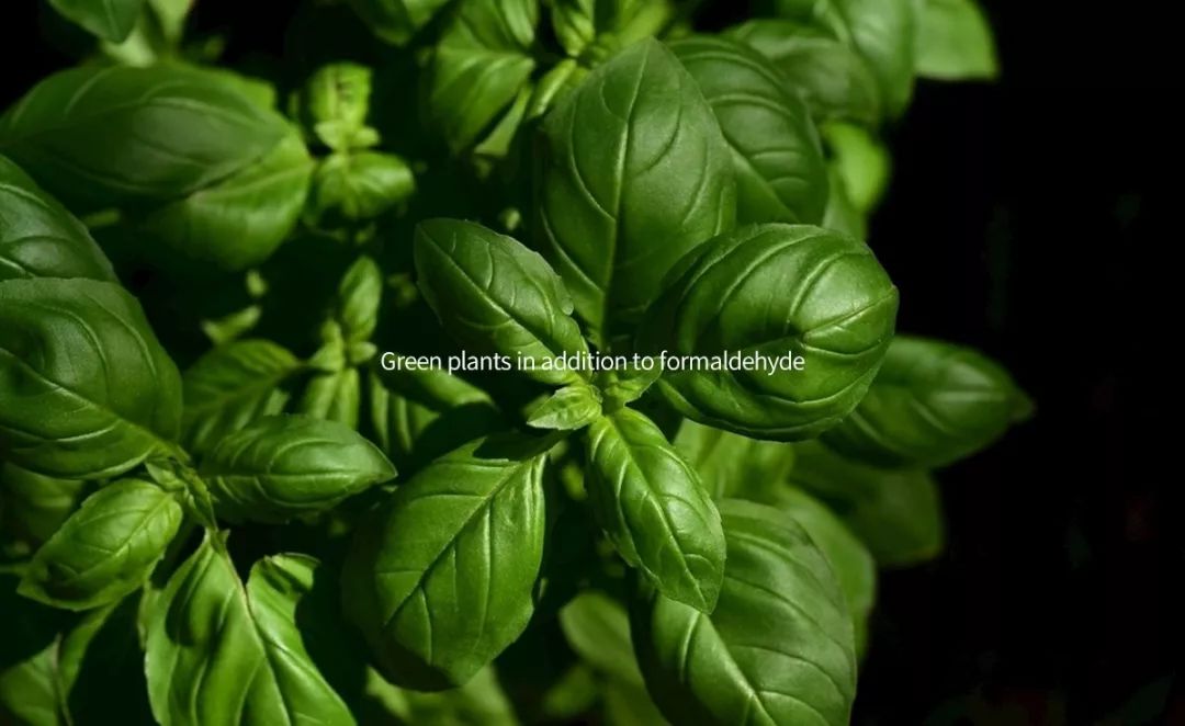 甲醛释放期限15年怎么装修,甲醛释放周期达3到15年怎么办