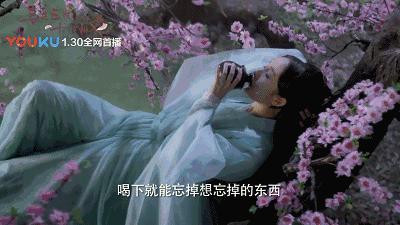 《三生三世·十里桃花》竟有这么多中考知识点,追剧也能涨知识!