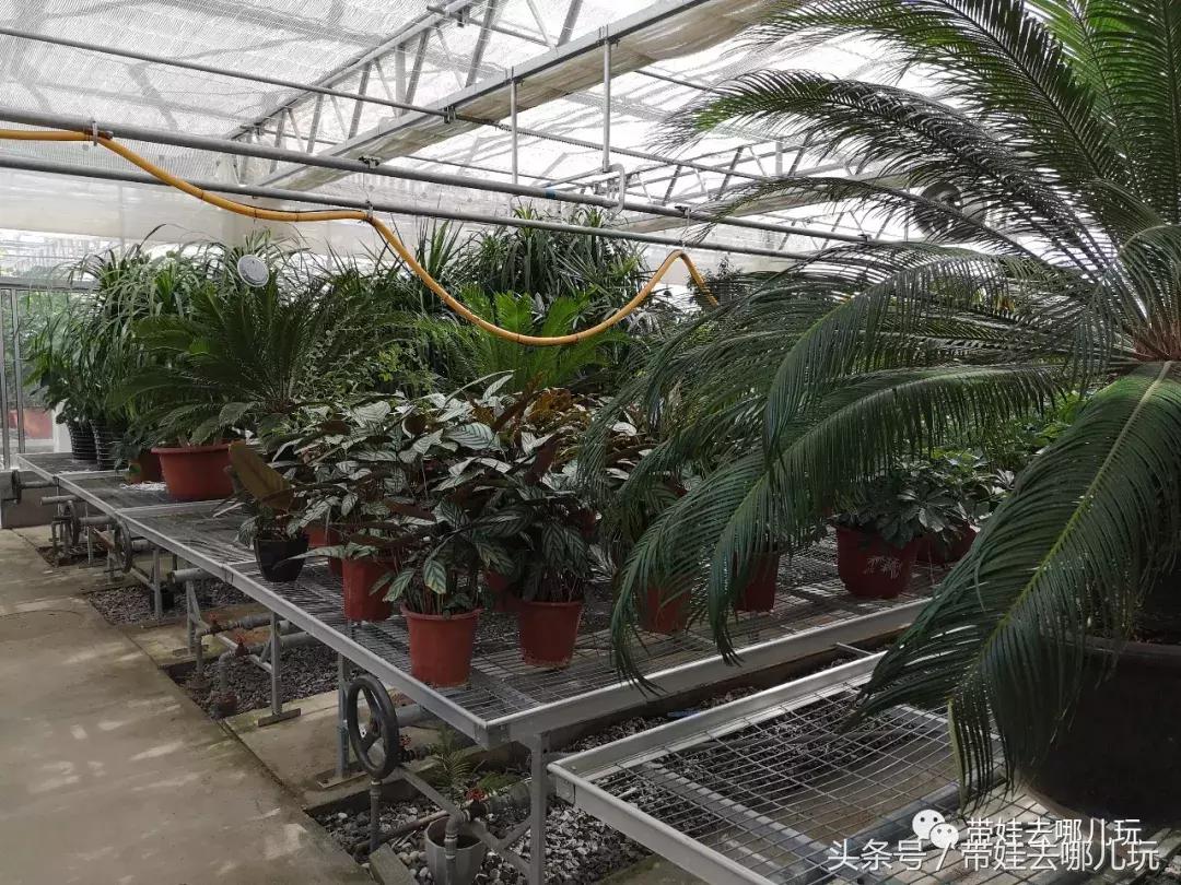 京郊十大亲子酒店,平谷亲子酒店值得去吗