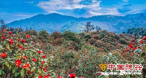 “铜都”转型，恰逢其时——专访江西省德兴市委书记刘瑞英