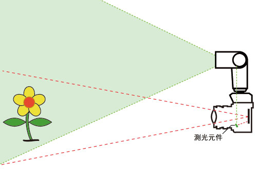 单反外置闪光灯的正确使用方法,单反相机怎么用闪光灯拍好人像