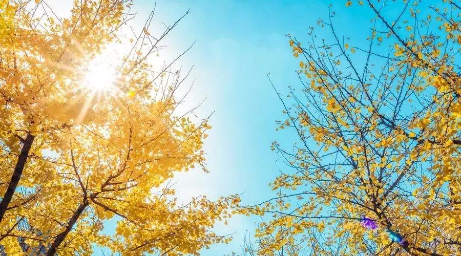 10月新低！广州出发机票仅180块！坐飞机玩转抖音最火网红地