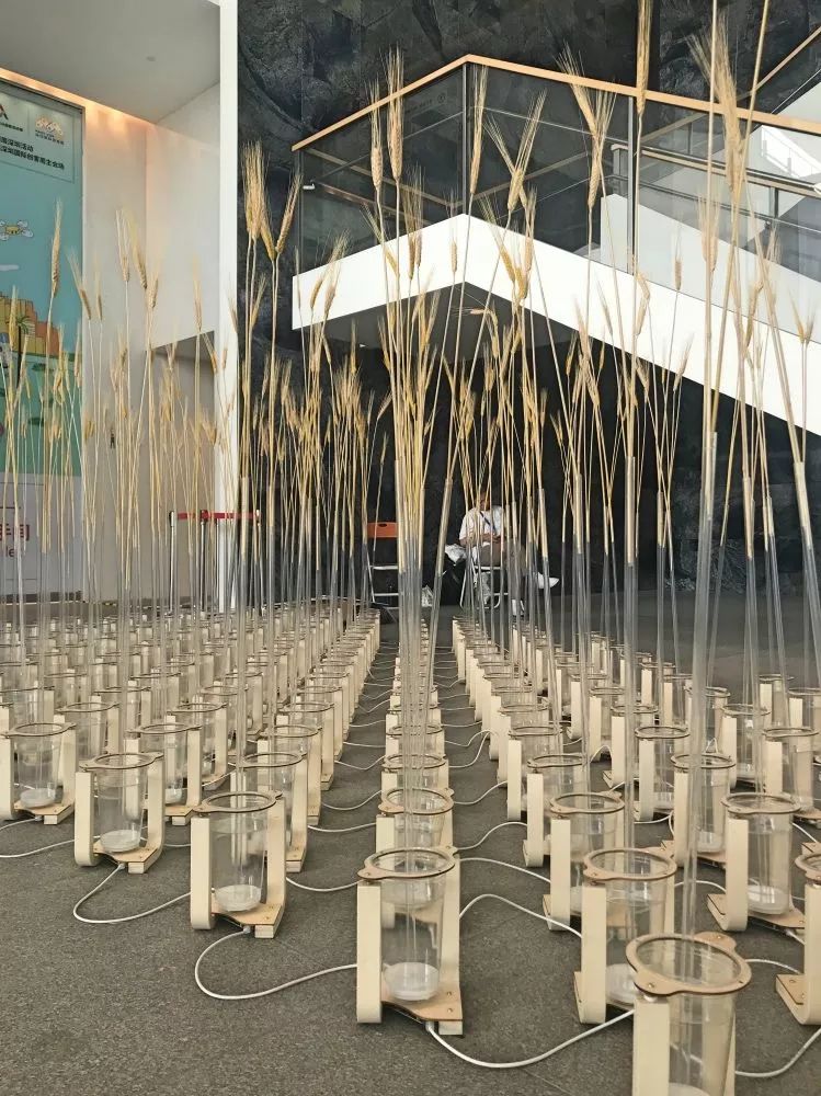 会“鼓掌“的机器人，无风而动的“麦田”……深圳国际创客周上好玩有趣的都在这儿！