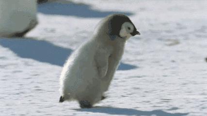 鐢ㄥ皬蹇冩満鎾╁埌浜嗚嚜宸卞枩娆㈢殑鐢蜂汉,鐢ㄥ浜嗕骇鍝佺湡鐨勫緢閲嶈