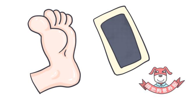 排毒瘦身足贴,足贴正品祛湿气排毒减肥测评