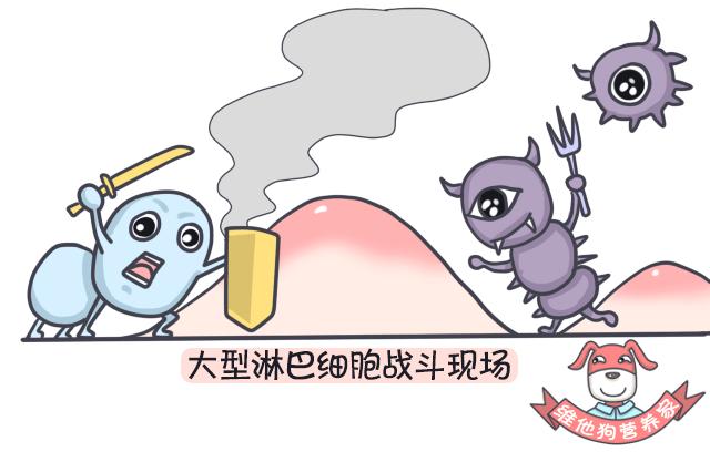 足贴、清肠丸、大麦若叶真的有效吗？揭秘朋友圈9大排毒网红