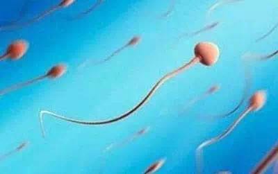 科普怀孕孩子发育,怀孕的真实科普