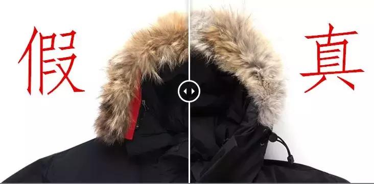 加拿大鹅假货买的多吗,加拿大鹅假货多么