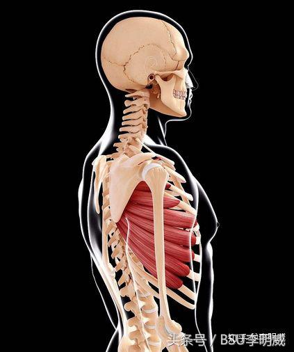 上背部有点不舒服是怎么回事,上背部发紧不舒服痛