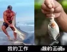 4960元！安庆最新平均工资又双叒叕涨了！你拖后腿了吗？