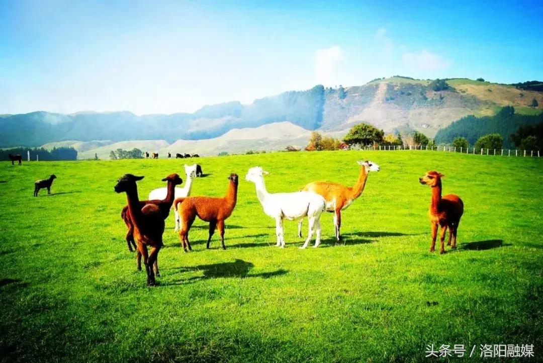 在洛阳70万能买什么房子,洛阳市区一套房子大概多少钱