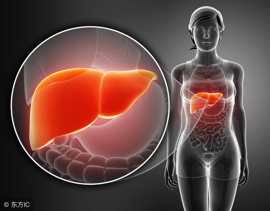 脾气虚肺气虚心气虚肾气虚的症状,女人肾气虚肝气虚肺气虚怎么办