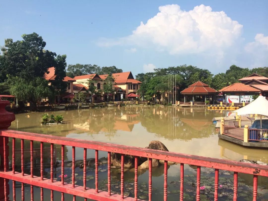 李茶的姑妈海景大别墅,李茶的姑妈在马来西亚