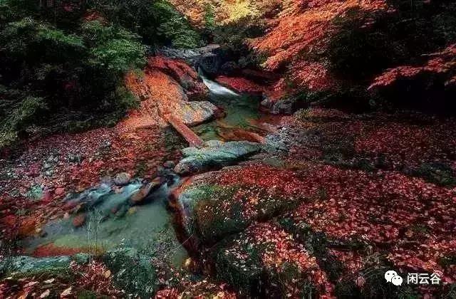 关于秋天的30首经典诗词,60首最经典描写秋天的诗词