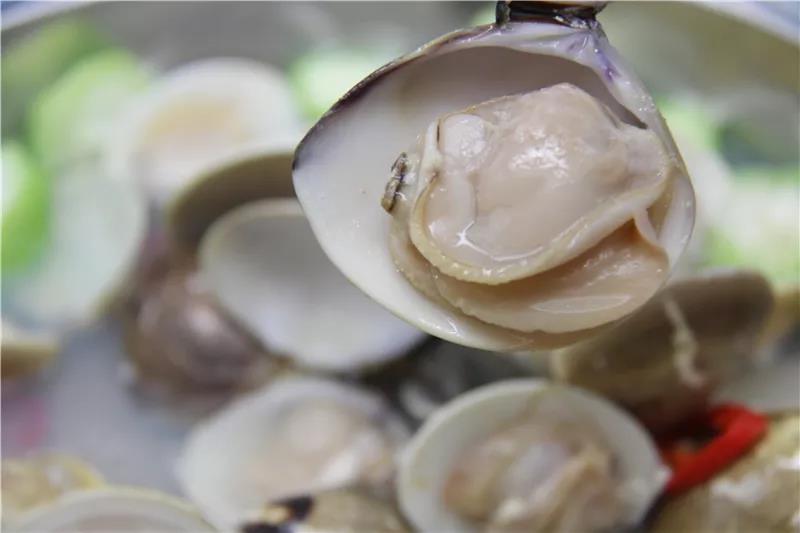 海鲜原产地大海的馈赠,海鲜盛宴大海的馈赠