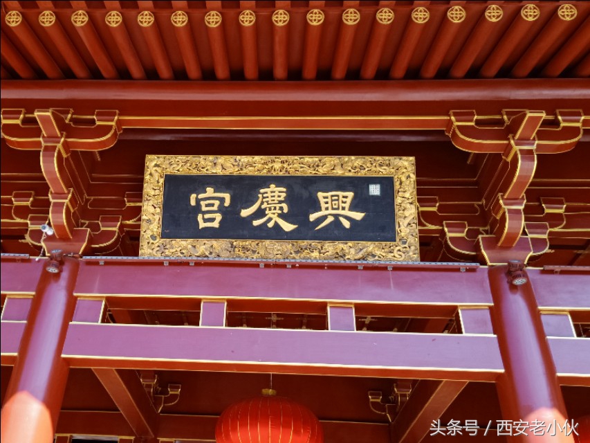 西安兴庆公园合唱团直播,西安兴庆公园歌手