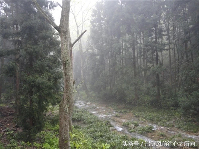 跟团旅游有什么好处和坏处英文,跟团旅游的好坏处