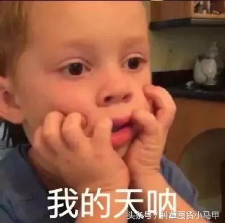 怎样才能看出来代购是真是假,网上代购是真是假