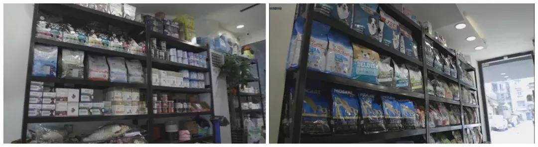 看到这家宠物店老板这么辛苦,我还是乖乖滚回去上班吧!