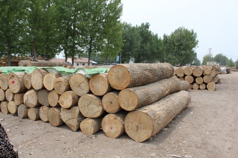 纹理木材有哪些,什么木材纹理细腻