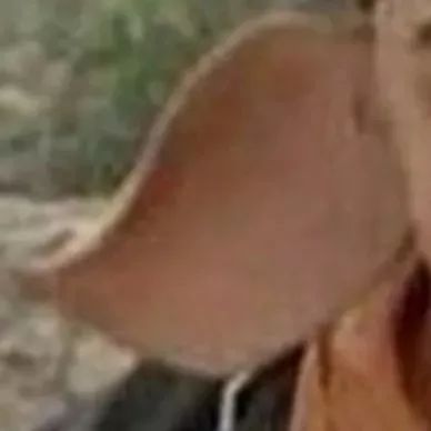 朋友圈九宫格空白补图恶搞,抖音超火九宫格配图