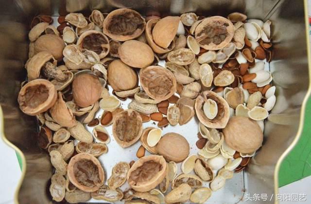 养花首先要养土,养花先养根合理的配土很重要