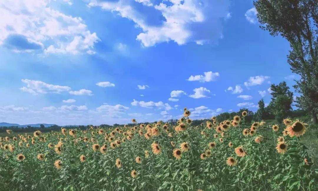 鎵嬫満鎽勫奖鏇茬嚎淇浘,鎽勫奖淇浘鏇茬嚎閮芥槸s鍨嬪悧