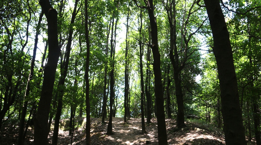 深圳哪里有海滩免费景点,深圳十大免费景点有哪些