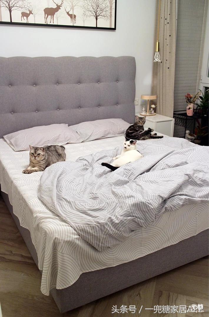 适合学生党的马卡龙色系,马卡龙小清新色系