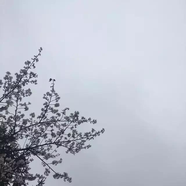 朋友圈背景图片长方形,qq空间封面背景图片大全唯美