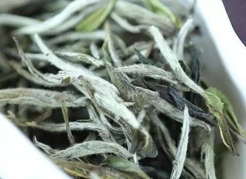 不同日期生日对应哪种茶,自己的生辰茶是什么茶