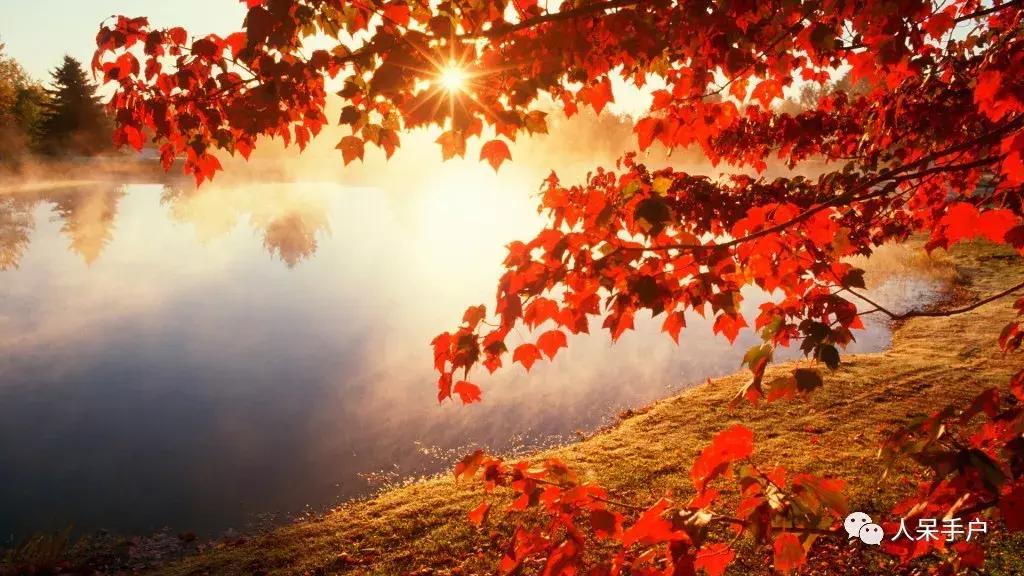 秋天到底是什么颜色的呢,秋天和秋雨是一种什么样的颜色