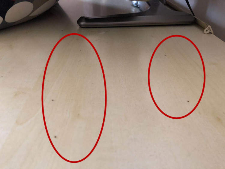 一居民家中自来水现大量虫子,一居民家中飞来怪鸟