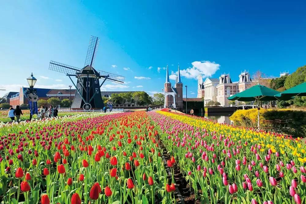 东京和北海道哪里旅游好一点,东京和北海道哪里旅游便宜