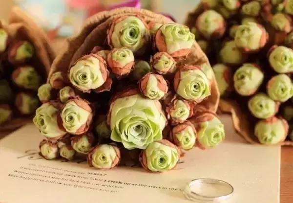 极强的适应能力,超强的适应力