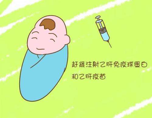 刚出生的婴儿怎么预防乙肝,怎么预防乙肝患者传给自己和家人