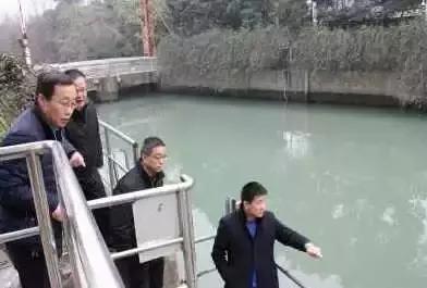 金牛区未来100个项目,金牛互助片区项目