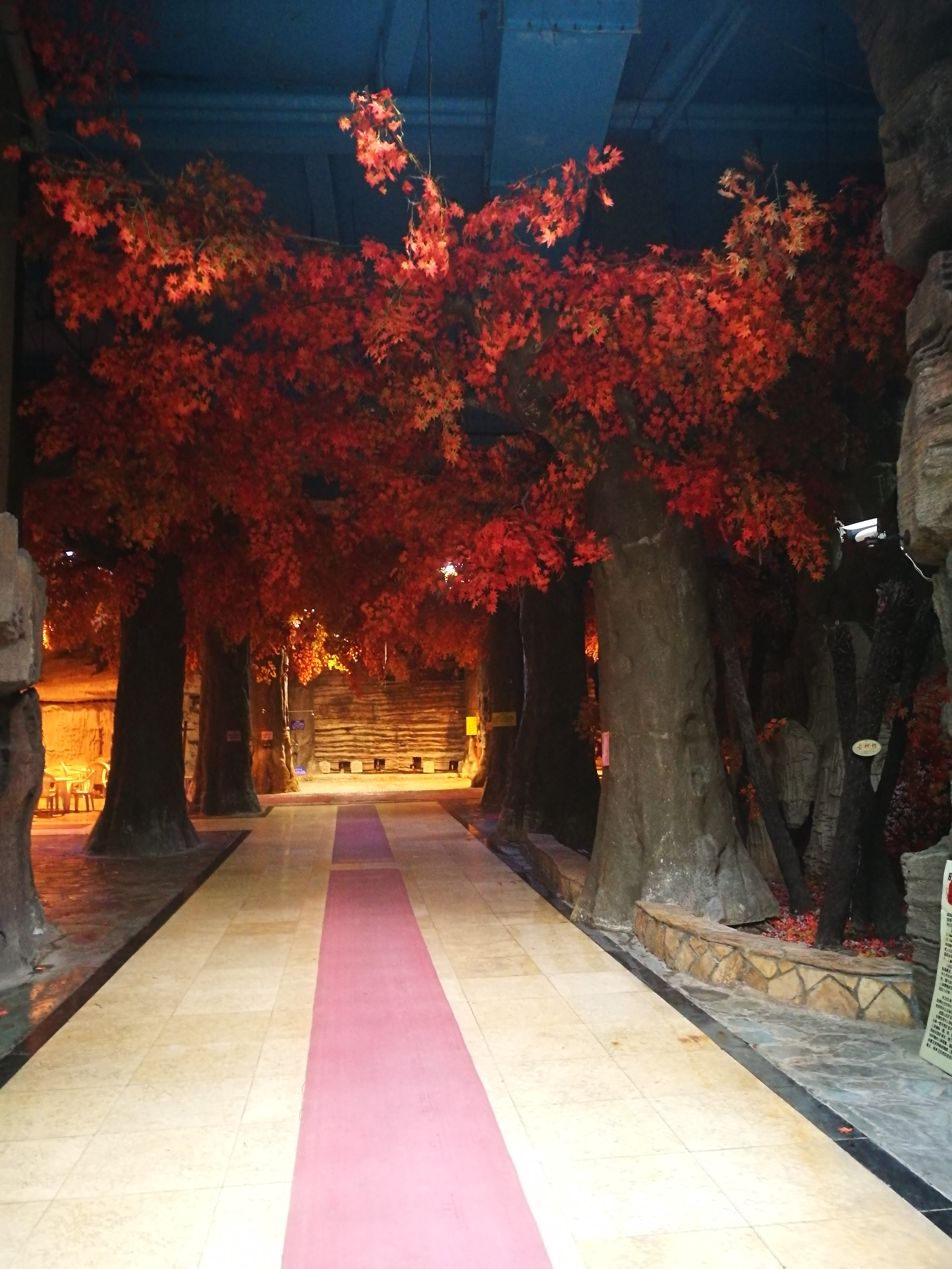 天气不好也适合旅游的地方,天气不热的好去处