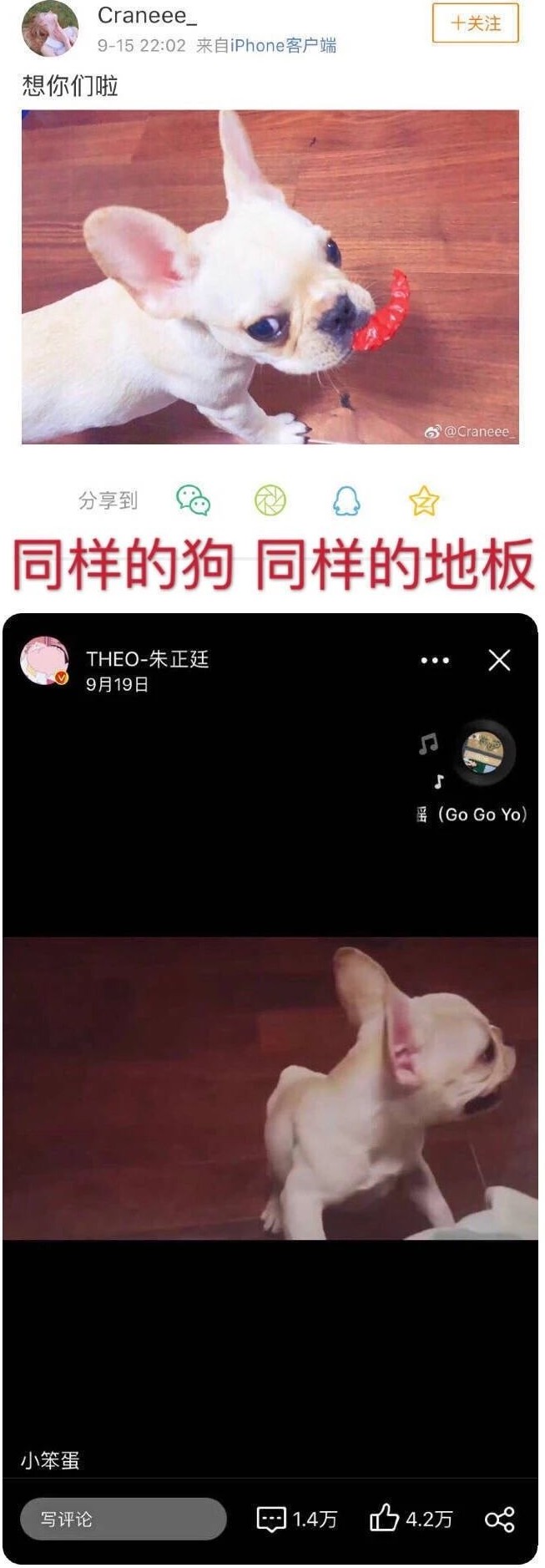 手撕爱豆工作室，深扒偶像恋情，粉丝都是能干大事儿的人