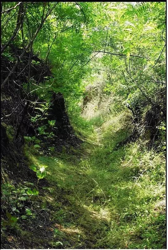隐藏在中国地图里面的秘密,中国地图里隐藏的玄机
