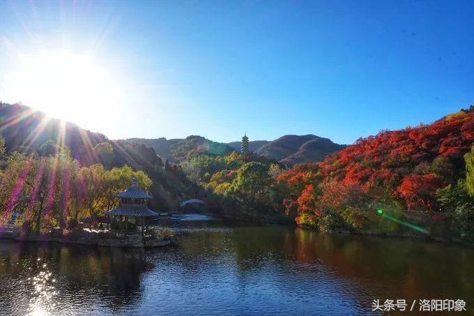 洛阳机场客流,2019年洛阳机场客流