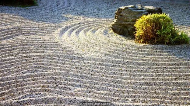 日本诺奖的秘密,日本获得过什么诺奖